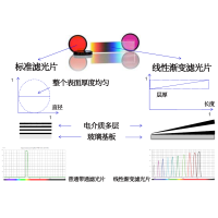 線性漸變?yōu)V光片是什么？有何特點(diǎn)？